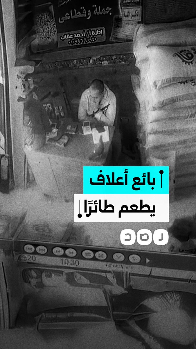 بائع أعلاف يطعم طائرًا دخل محله فجأة في مشهد إنساني لافت