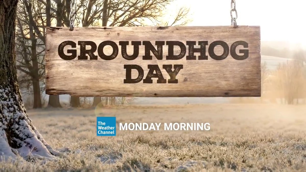 The countdown to #GroundhogDay is on. Tune in to The Weather Channel on Monday, Feb. 2, for live coverage from Punxsutawney. Plus, our special correspondent, Chuck Burrows, is joining the fun. Whether it’s six more weeks of winter or an early spring, we’ve got you covered.