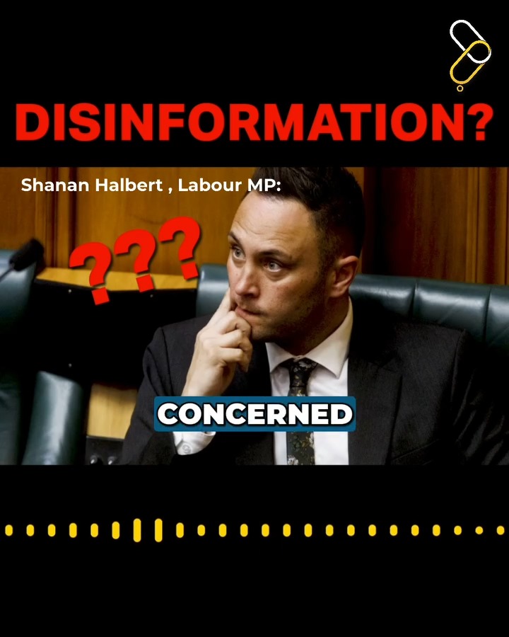 Shanan Halbert has accused Hobson’s Pledge of disinformation about iwi relating to the Mt Maunganui landslide. That's false. We haven't commented on the landslide. We believe right now it's appropriate only to express our sorrow and empathy for the families who lost loved ones.