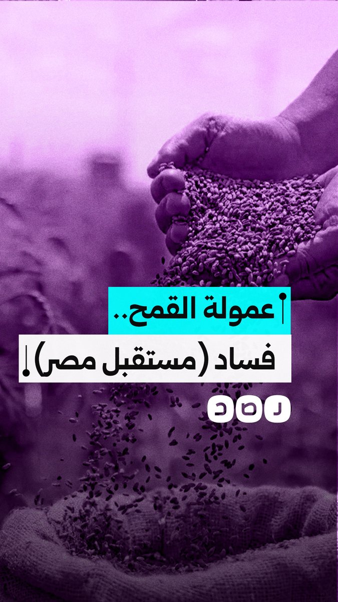 جهاز (مستقبل مصر) التابع للقوات الجوية يحصل على 150 مليون دولار مقابل استيراد القمح