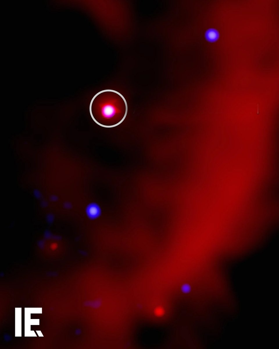 NASA just picked up a cosmic signal from deep space that blinks for 2 minutes every 44. It’s called ASKAP J1932-0911 and it shoots out X-rays and radio waves for up to 5 minutes at a time. Not a pulsar, not a black hole, maybe a dead star pinging us.