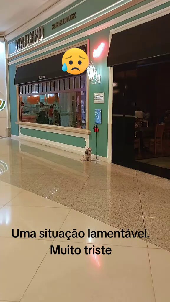 Tutores deixam cachorro preso no shopping para irem comer em um restaurante.
