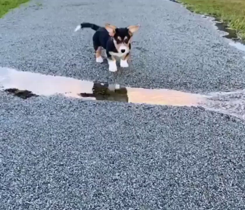Yay, I did it..🐕🐾😊😅