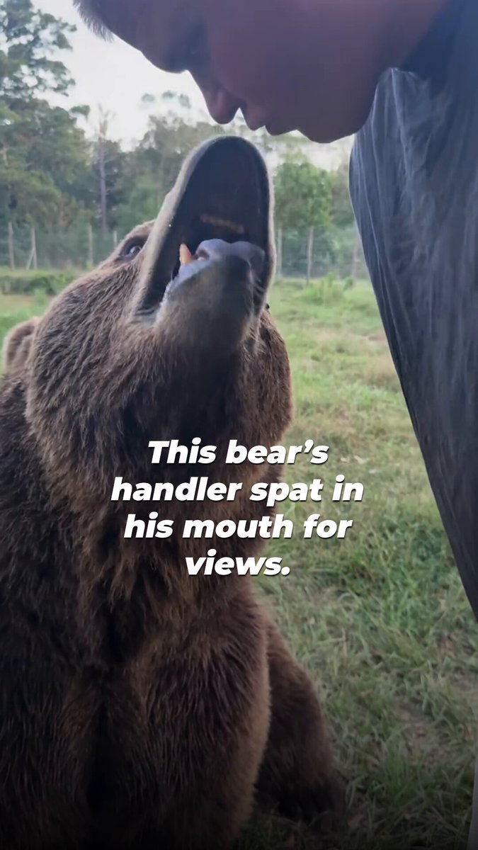 This is VILE. Dexter Osborn treating a bear like a prop for social media “likes” proves Grizzly Ranch is a SHAM. Help us get this bear to a reputable sanctuary📲
