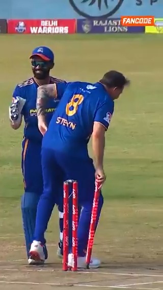 Dale Steyn’s celebration after taking a wicket. 😂
