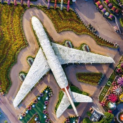Home to 150 million flowers and the world's largest floral aircraft, Dubai is in full bloom at Dubai Miracle Garden. 🌸🌺🌼