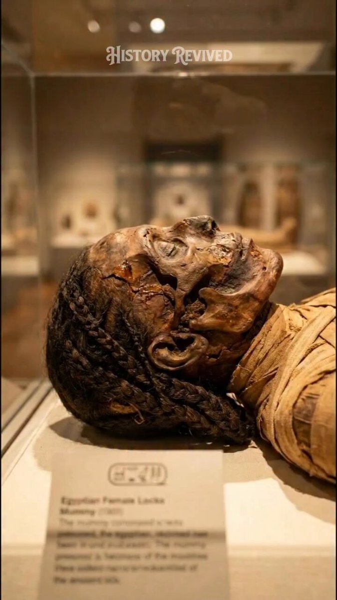 AI brings an ancient mummy back to life [🎞️ History Revived]