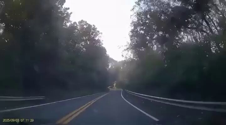 Came so close to his day being ruined
