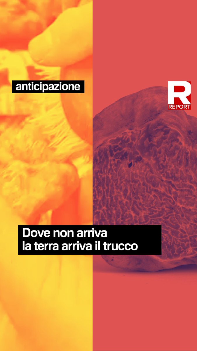 A volte perché i tartufi appaiano profumati e appetitosi serve qualche trucco. Basta pulirlo dalla terra, aggiungere un po’ di sabbia, qualche goccia di aroma - artificiale - ed ecco che un tartufo che ha dovuto sopportare un lungo viaggio, appare regale. Domani #Rai3