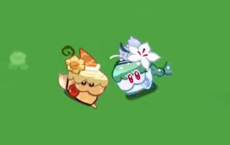 🇨🇳🍦 ⚜️わんケーキ