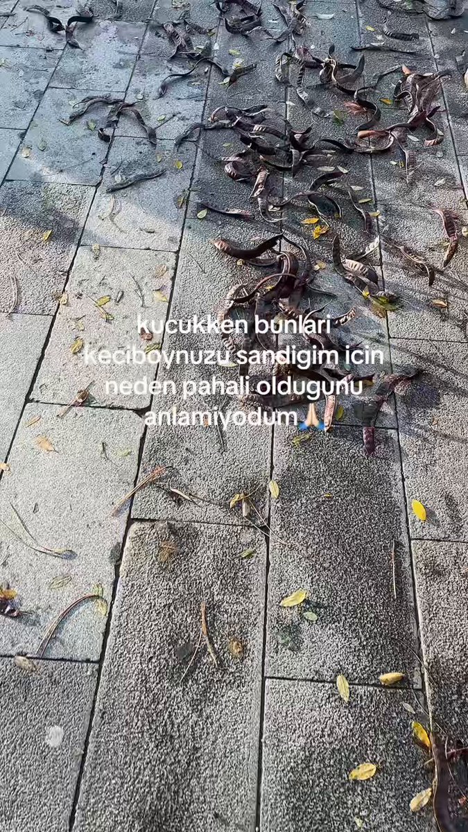 Bunlar nasıl keçiboynuzu değil bildiğimiz her şey yalan çıkıyor