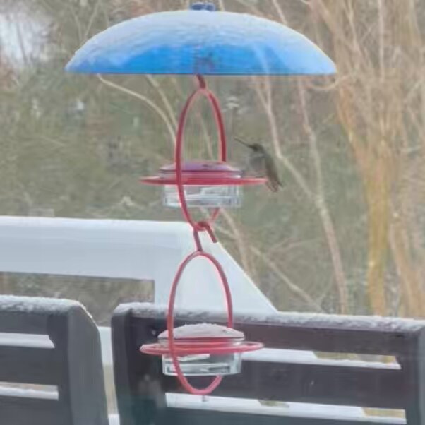 Jim Cantore Right now in Southern Shores #SnOBX #GIANNA SamWalkerOBXNews.com🎙📻📰🥍🦓