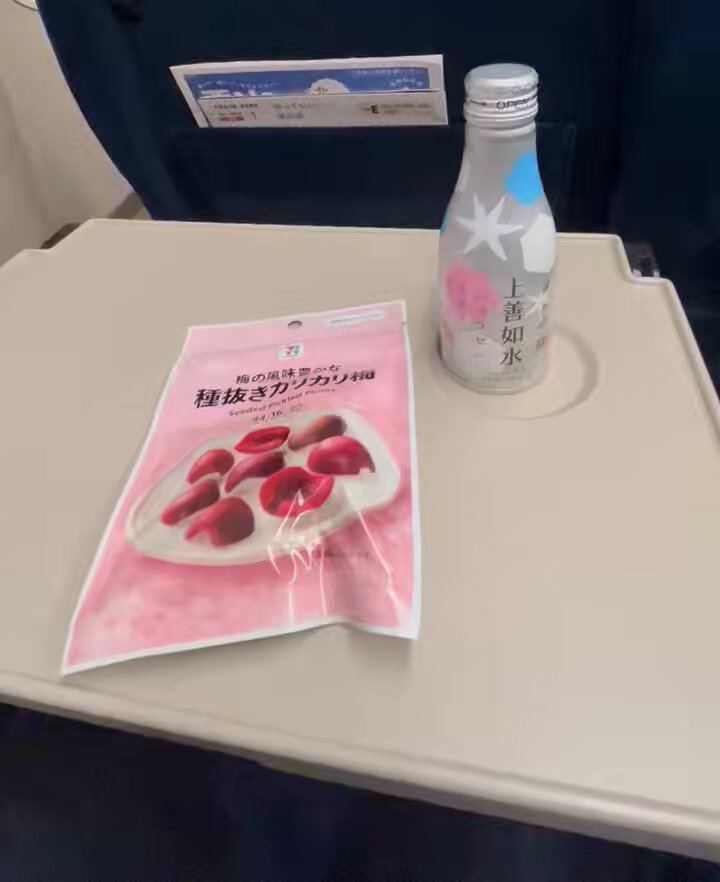 さ〜よなら〜苗場😭 私は〜帰ります〜🎤 越後湯沢駅の始発新幹線に初めて乗りました🚅
