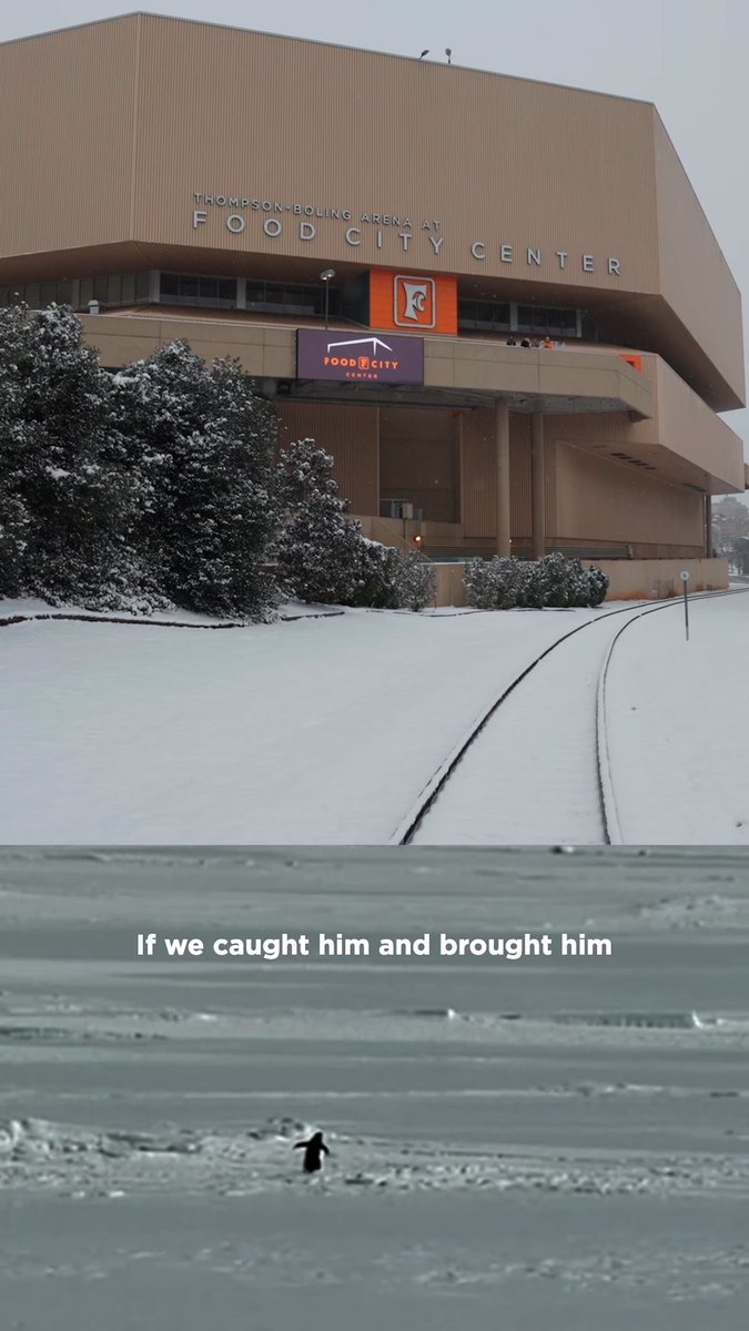 pulling up to Food City Center tonight like