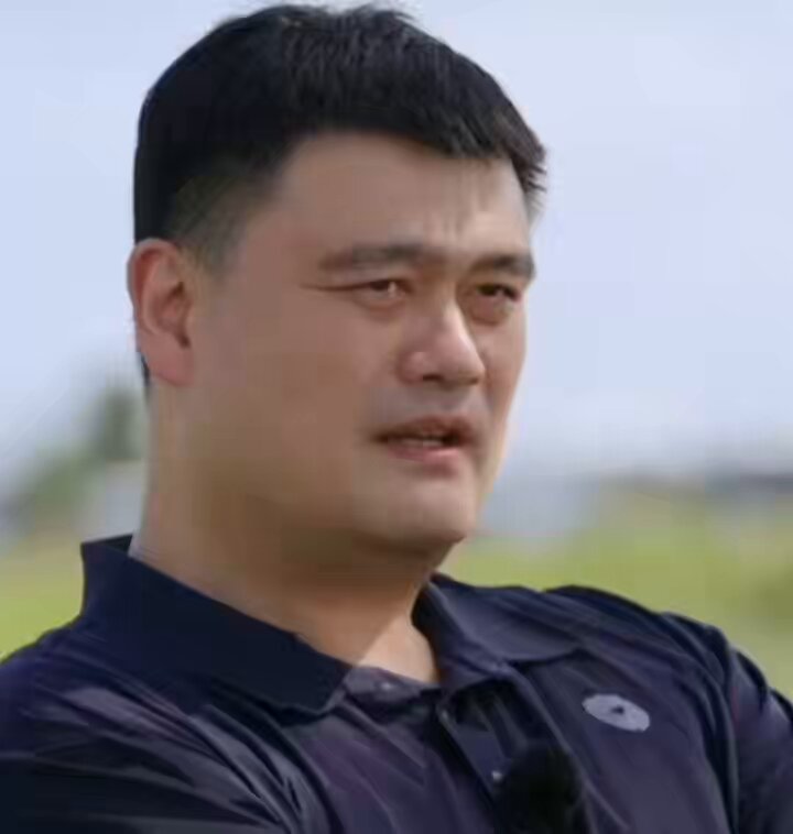 这个访谈，让我对姚明刮目相看。 在最激烈的竞争环境中生存下来的人，思维方式和生命体验与聪明书生就是不一样。#平论 没有人可以随随便便成功。