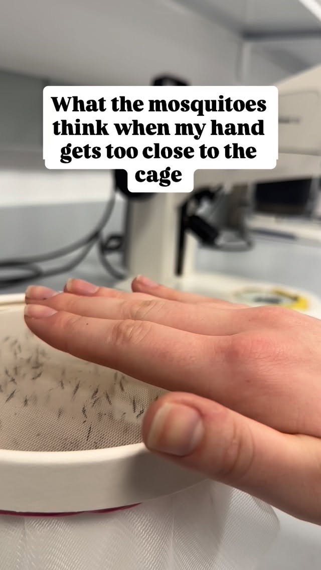 And now I hate them even more