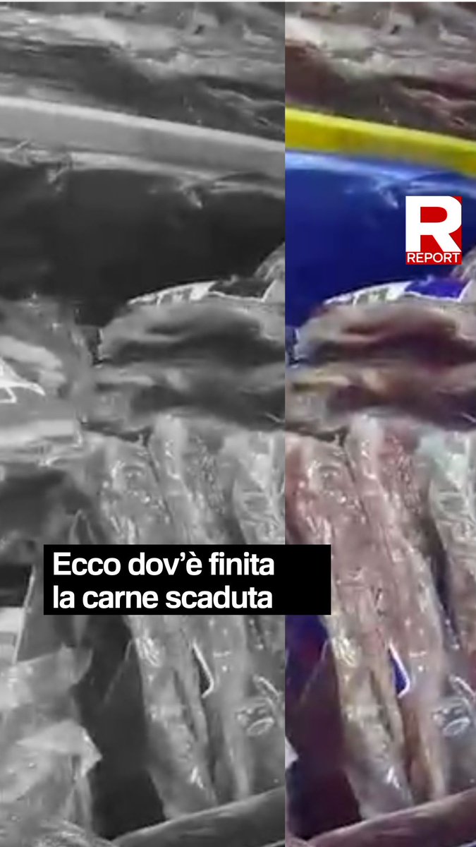 Nonostante la mancata collaborazione da parte degli enti preposti, siamo riusciti a scoprire dov'è finita la carne scaduta scongelata, rilavorata e congelata del macello Bervini. Segui #Report ora in diretta su #Rai3
