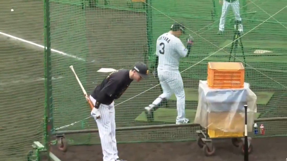 【宜野座】 ランチ特打で快音連発のディベイニー選手!お辞儀も様になっています! #hanshin #虎テレ #阪神タイガース #熱覇 虎テレでは春季キャンプをライブ配信