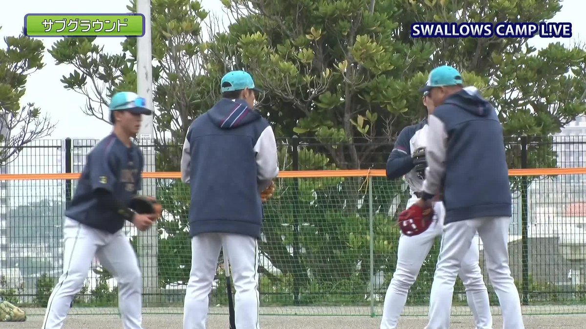 身振り手振りを交えて ショート争う長岡秀樹&内山壮真 池山隆寛監督が熱血指導 🌸ヤクルト春季キャンプ #swallows #だったらDAZN