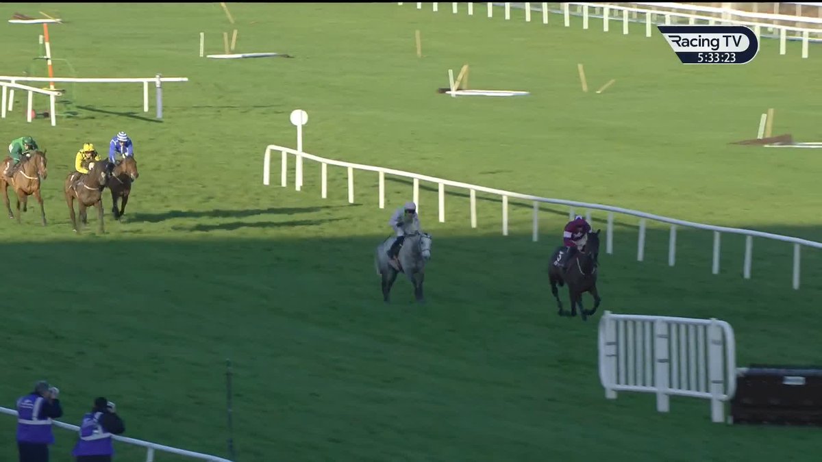 🗣️"Triumph winners are stayers." Ruby Walsh thinks it was the trip that beat Lossiemouth on Sunday. #RoadToCheltenham | Paddy Power