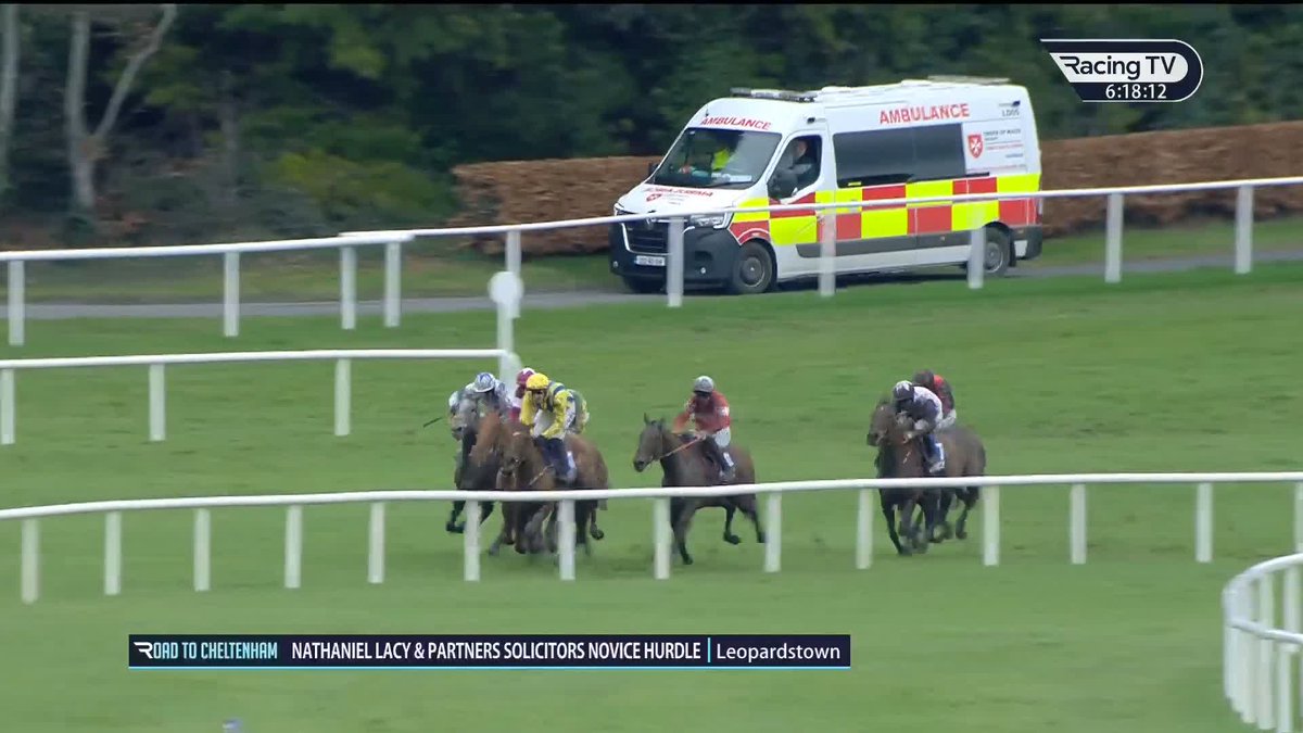 🗣️"It's only Willie Mullins' horses that can pull and pull and pull on heavy ground, and then do this." Fair to say the #RoadToCheltenham team were hugely impressed with Doctor Steinberg. He'll take some stopping in the Albert Bartlett. Paddy Power