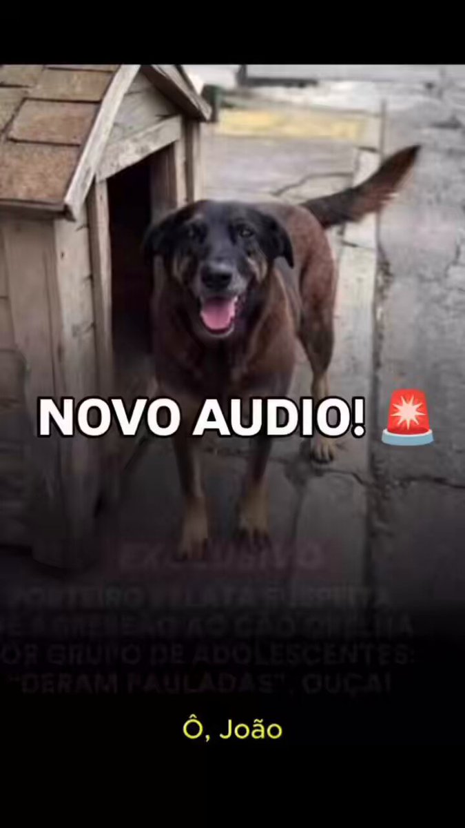 Estamos cada vez mais perto #justicapeloorelha #federalizacaodocasoorelha