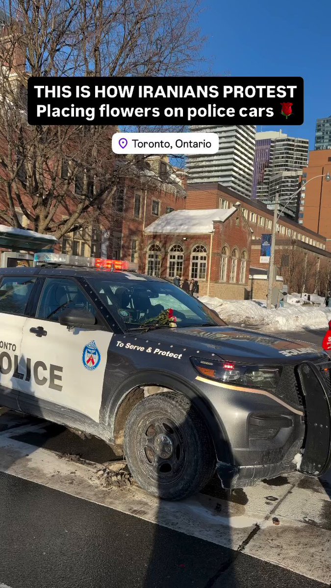 Yesterday in downtown Toronto, Iranians handed out roses to passersby and even left them on a police car patrolling the rally. 🌹🇮🇷🇨🇦