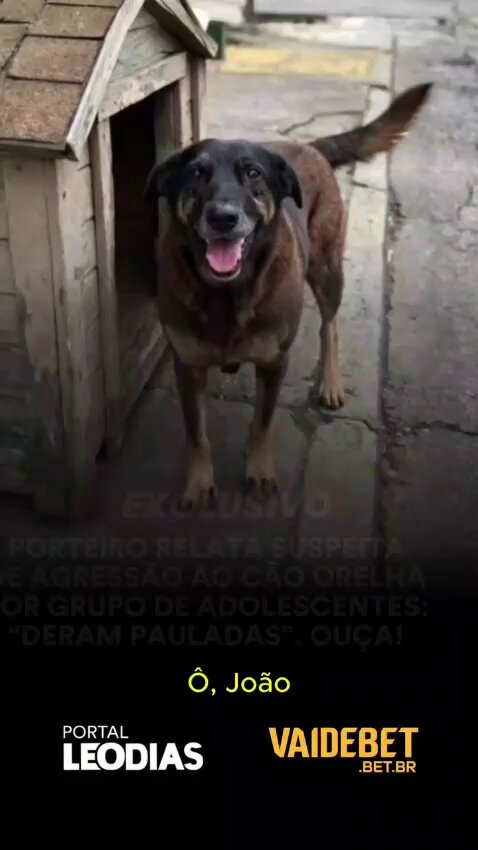 🚨🚨🚨🚨 LEO DIAS SOLTOU UM NOVO AUDIO 🚨🚨🚨🚨🚨 #FEDERALIZAÇÃODOCASOORELHA