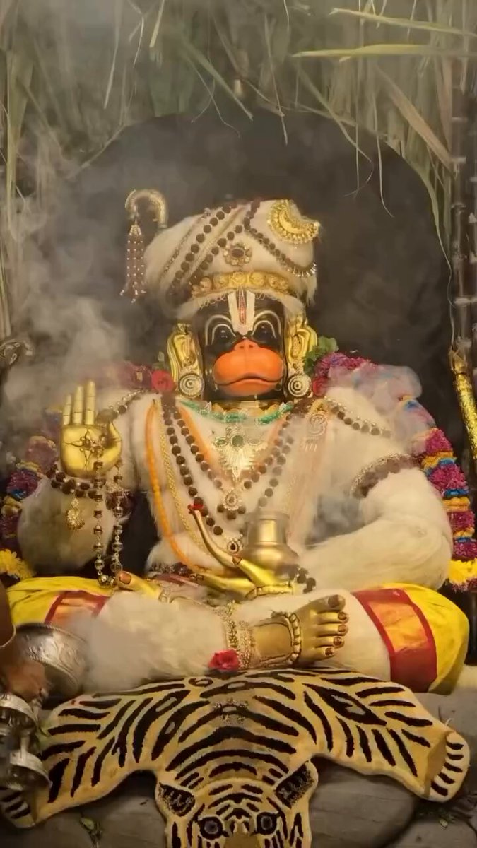 Invoke Hanuman not just in trouble, but in gratitude too.. Tuesday darshan🔆