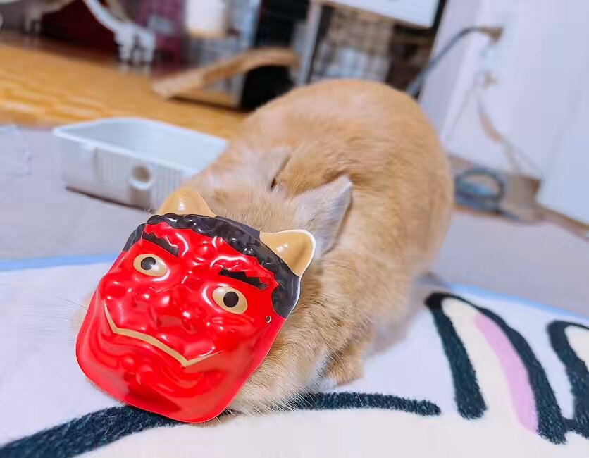 鬼さん、お疲れ様👹👑 #節分の日