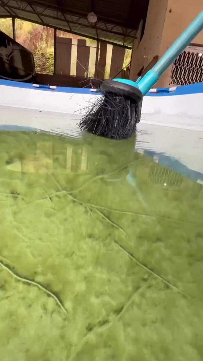 Very satisfying cleaning process.