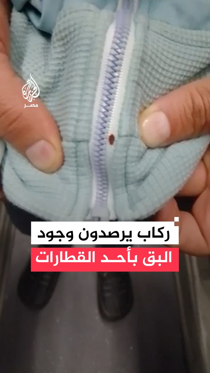 ركاب قطار الإسكندرية – أسوان ينشرون مشاهد قالوا إنها لانتشار حشرات "البق" داخل العربات، ويتقدمون بشكوى إلى رئيس القطار