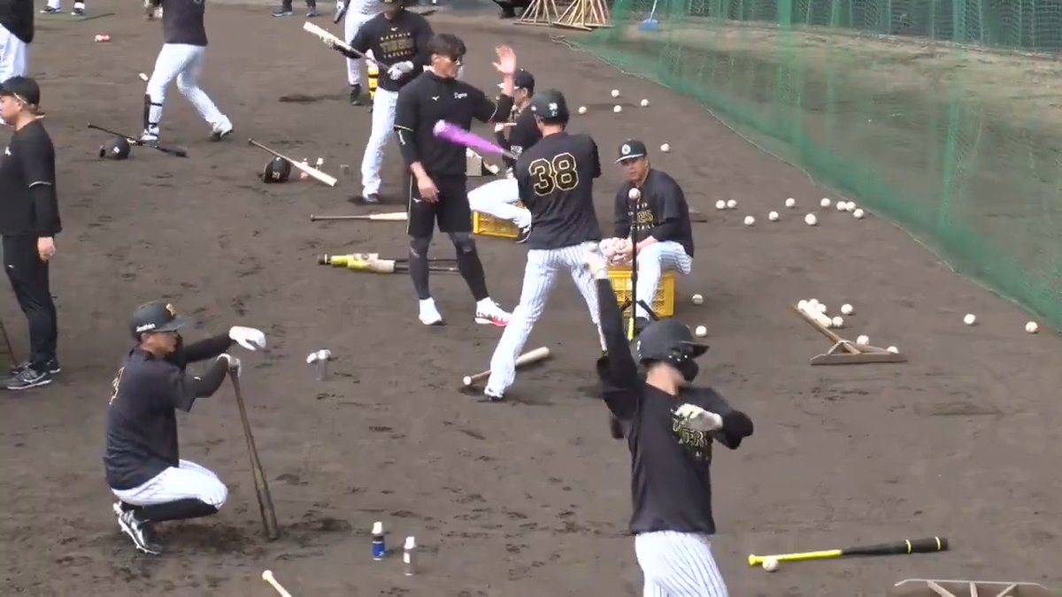 【宜野座】 ピンクの液体が入ったバットで小幡選手に打撃指導する糸井臨時コーチ！ #hanshin #虎テレ #阪神タイガース #熱覇 虎テレでは春季キャンプをライブ配信