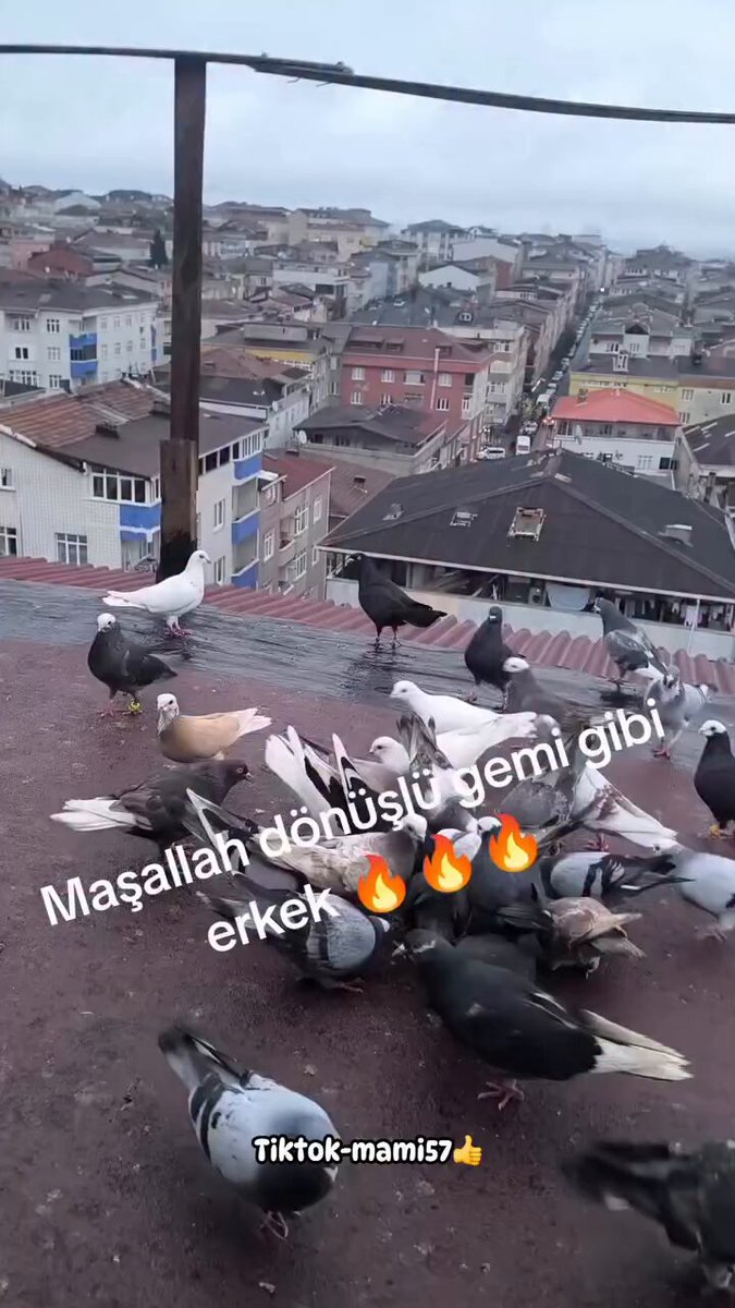 Yakalarken bu kadar profesyonel olabileceğimi düşünmemiştim