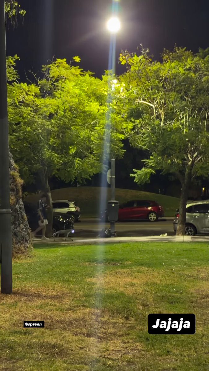 "Spreen": Porque captaron cómo saca a pasear a su perro robot por la plaza.