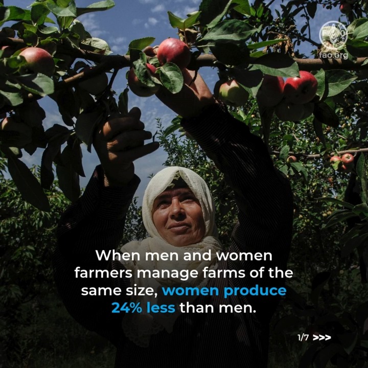 #DYK that when women and men manage farms of the same size, women still produce 24% less because they lack equal access to resources. This must change! Here are 5️⃣ ways to close the productivity gap. #YearOfTheWomanFarmer #IYWF2026