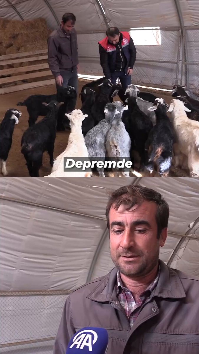 🐄 6 Şubat depremlerinde ahırı yıkılan, hayvanlarını kaybeden üreticimiz Adem Arslan, yaşadığı yıkımın ardından devletimizin desteğiyle yeniden ayağa kalktı, yeniden üretime sarıldı. 🤝 Bu sadece bir destek hikâyesi değil; umudu yeniden yeşerten devlet–millet dayanışmasının sessiz ama çok güçlü bir göstergesi. 📍 Osmaniye