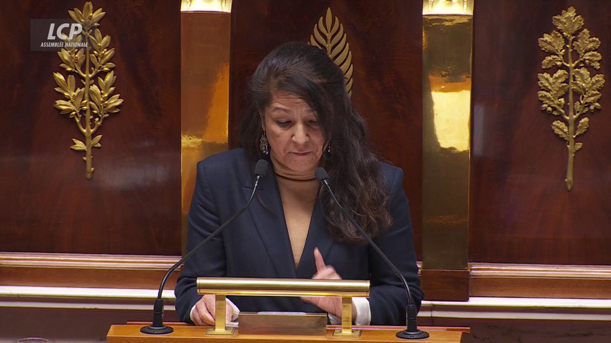 « Fuck ICE ! » à l’Assemblée nationale, par la députée LFI Sandrine Nosbé