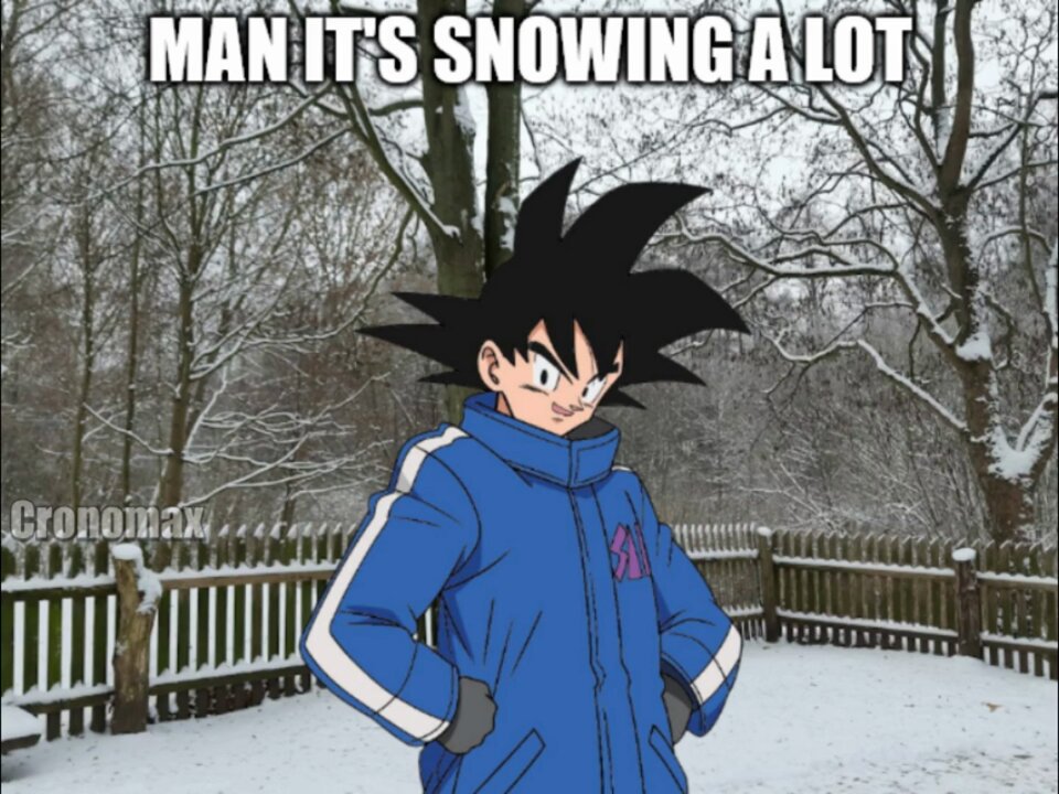 Goku's Snow Day!
