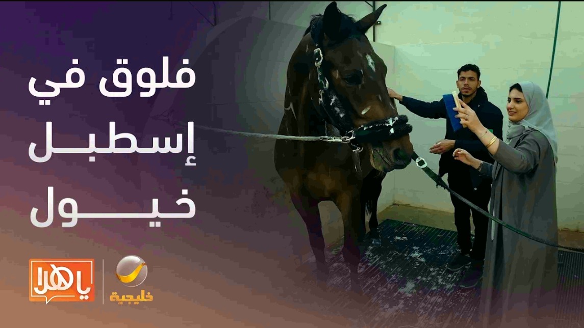 في فلوقنا الثاني قررت رغد تشتغل في إسطبل خيول لأول مرة!🐎 تجربة مليانة ضحك، معلومات ممتعة عن الخيل، وغسل الخيل لأول مرة! تحدي مختلف… شوفوا وش صار 👀 #فلوقات_رغد_وسليمان الإعلامية رغد الزهراني @Solaiman_ym #ياهلا #روتانا_خليجية