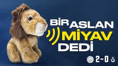 bu kedi nerden tanidik geliyo diyodum zaten bizimmiş😍