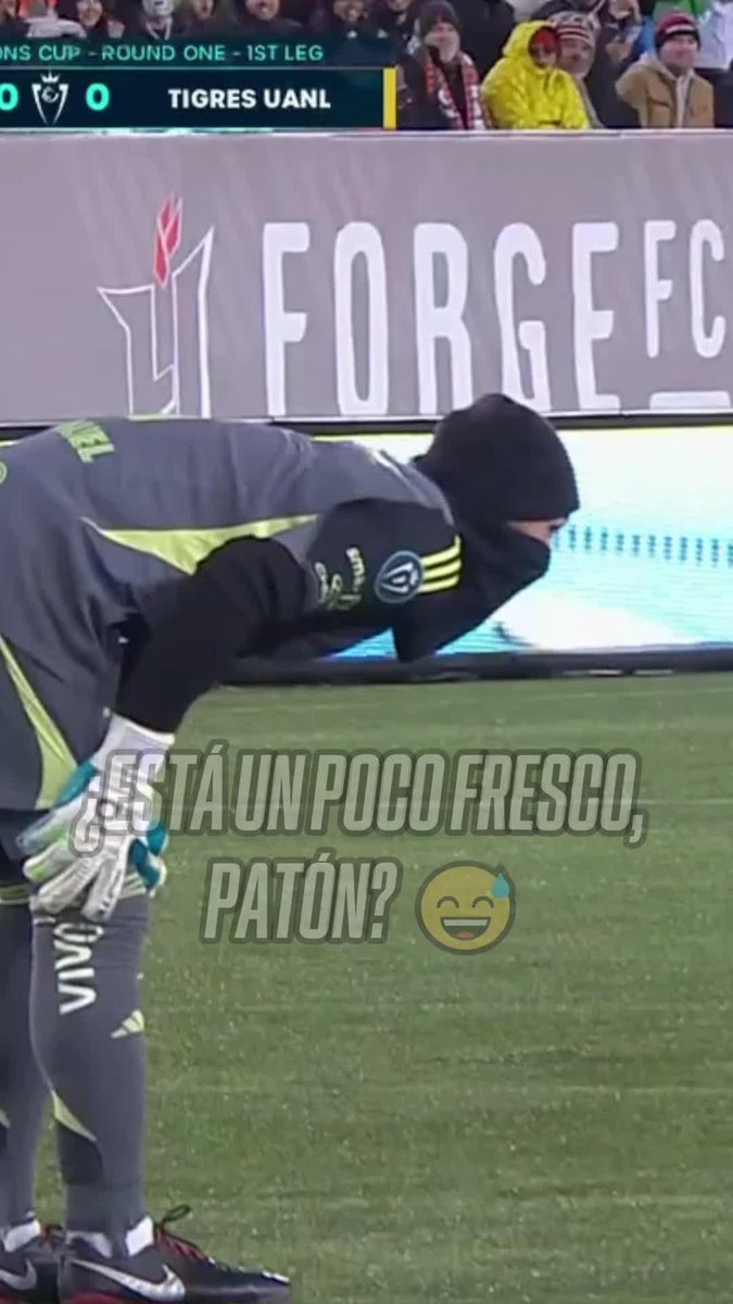🥶 ¿HACE FRÍO, PATÓN? 🇦🇷 TOTALMENTE ENCAPUCHADO salió a atajar Nahuel Guzmán en la visita de Tigres 🇲🇽 al Forge FC 🇨🇦 en Hamilton. La temperatura en esa ciudad de Canadá rondó los 7 grados bajo cero durante el partido. ▶️ Más 🏆 CONCACAF #ChampionsCup en #DisneyPlus