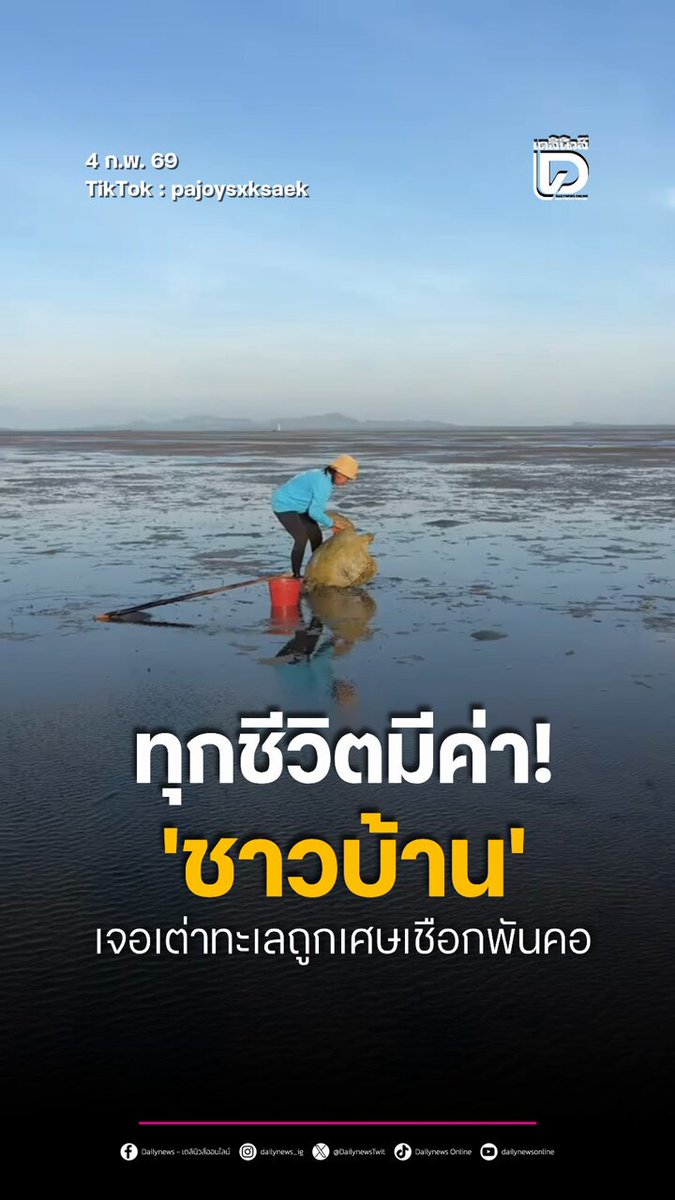 ทุกชีวิตมีค่า! 'ชาวบ้าน' เจอเต่าทะเลถูกเศษเชือกพันคอ . #ข่าว #ข่าววันนี้ #เดลินิวส์ #เดลินิวส์ออนไลน์