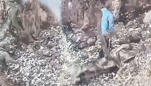 Murg Massalam : 4 PARA SF roasted JAISH pi*s