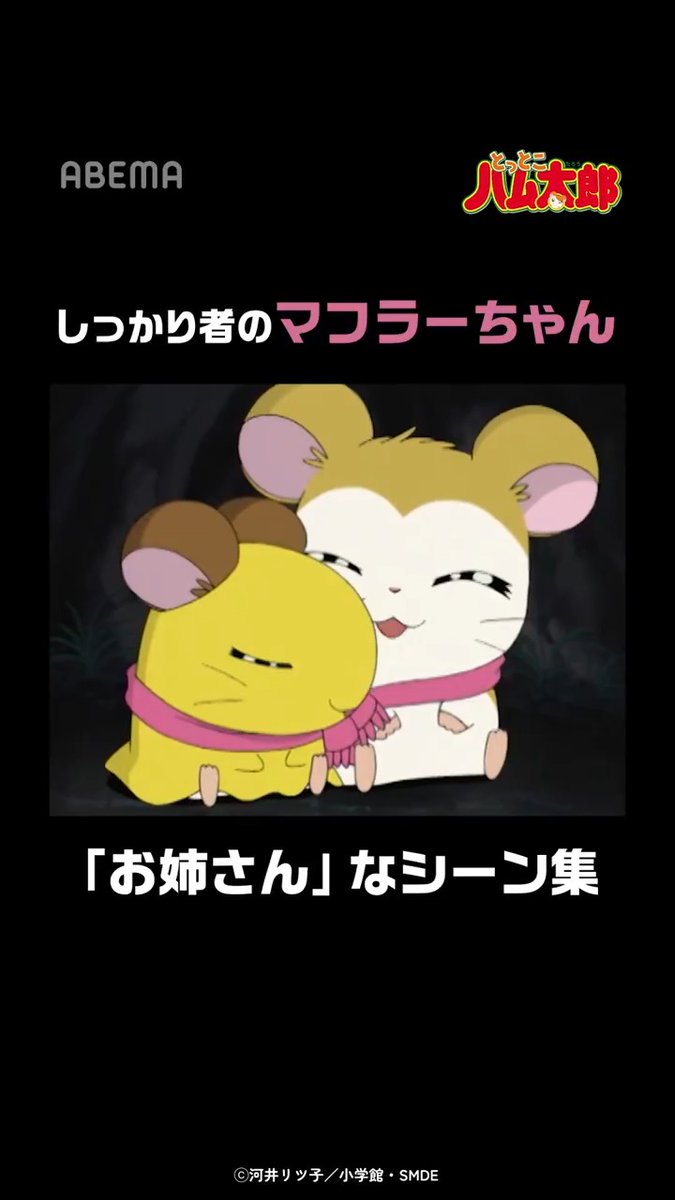 あなたの推しハムは❓ しっかり者のマフラーちゃんの「お姉さん」なシーン集！ 「とっとこハム太郎」はアベマで配信中！ 視聴はこちら▶︎ #とっとこハム太郎 「とっとこハム太郎」公式サイト運営