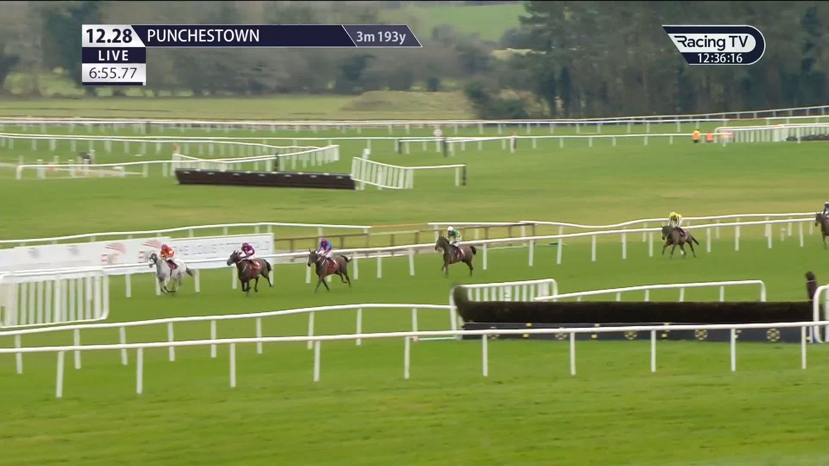VANILLIER 😍 Another win in the Hogan Memorial Cross Country Chase for the GavinCromwell Racing-trained grey 🔴🟡 Punchestown