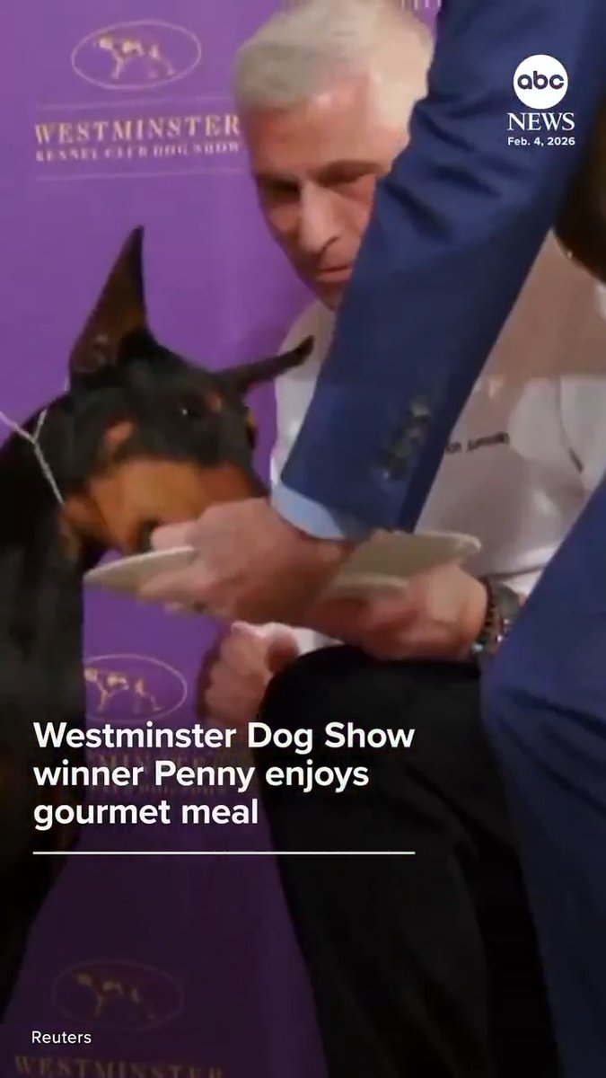 Penny, a 4-year-old Doberman Pinscher, celebrated winning the 2026 Westminster Kennel Club Dog Show in New York City with a chef-prepared meal of boiled chicken and carrots.