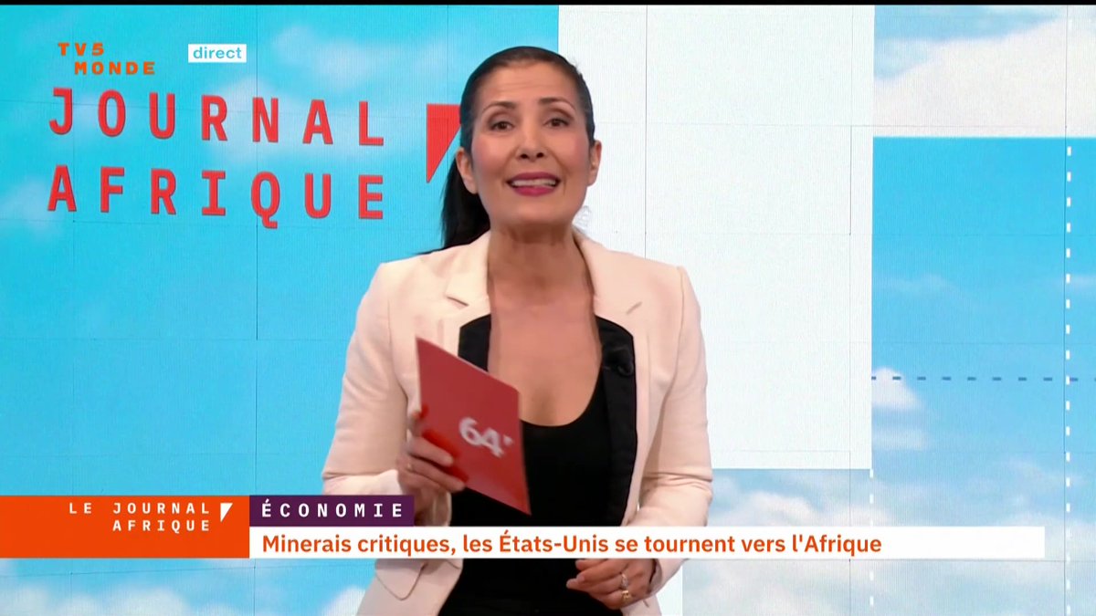 Quels géants africains pourraient remplir le stock de terres rares et minerais critiques voulu par Donald Trump ?