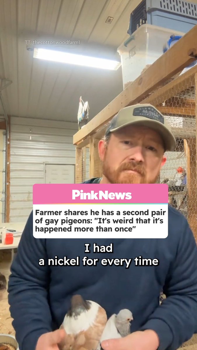 A farmer has gone viral on TikTok for sharing the story of two gay pigeons in his coop. This isn't the first time he has had queer pigeons, after going viral in 2025 for sharing that three of his pigeons were at the heart of a bisexual throuple drama. Posting from Cottonwood Farms on 24 January, Chase Barnes said in the video: “If I had a nickel for every time I had a gay pair of pigeons, I'd have two nickels.” He explained in the video that the pigeons are due to be separated as one of them is leaving to live with Barnes' friends.