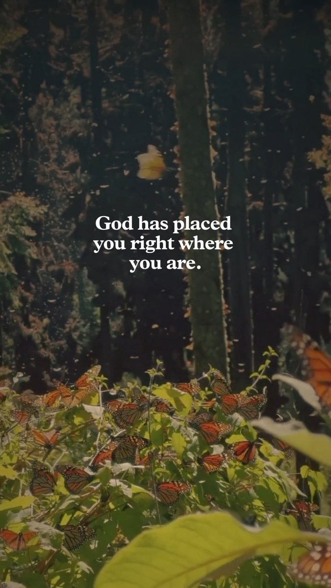 Where you are is where God is working. Take heart—His purpose is woven into every responsibility, every relationship, every step you take.